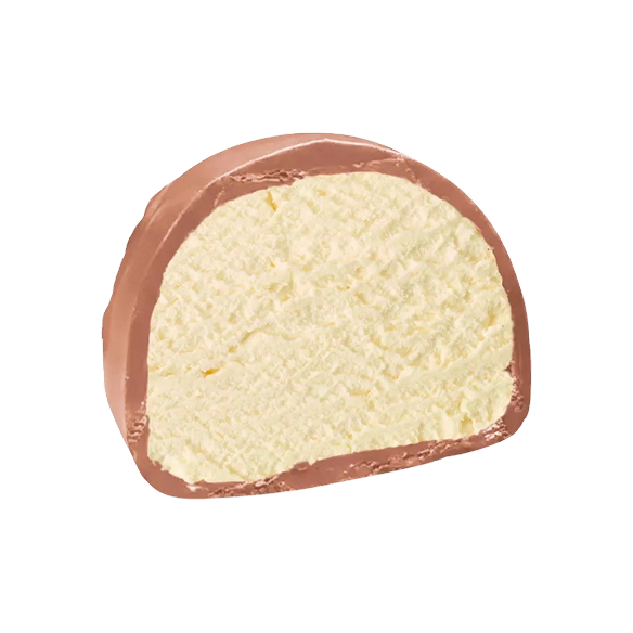 Vanilla Vanilla Bites